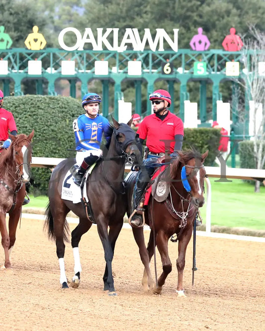NEZAZURRI - Oaklawn Sports Overnight Stakes - 01-01-26 - R08 - OP - Post Parade 01 - Coady Media - Kurtis Coady Photography