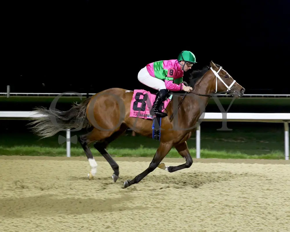 Nice As Pie - The Serena’s Song 3Rd Running 03 - 30 - 24 R06 Tp Finish 01 Turfway Park