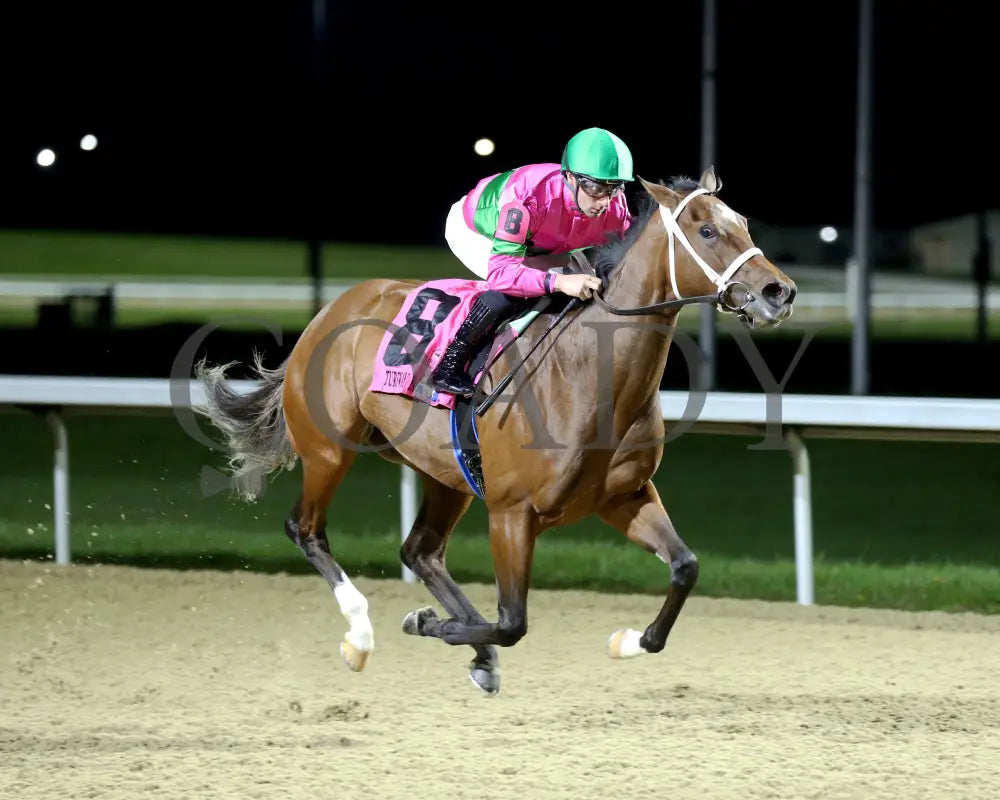 Nice As Pie - The Serena’s Song 3Rd Running 03 - 30 - 24 R06 Tp Finish 02 Turfway Park