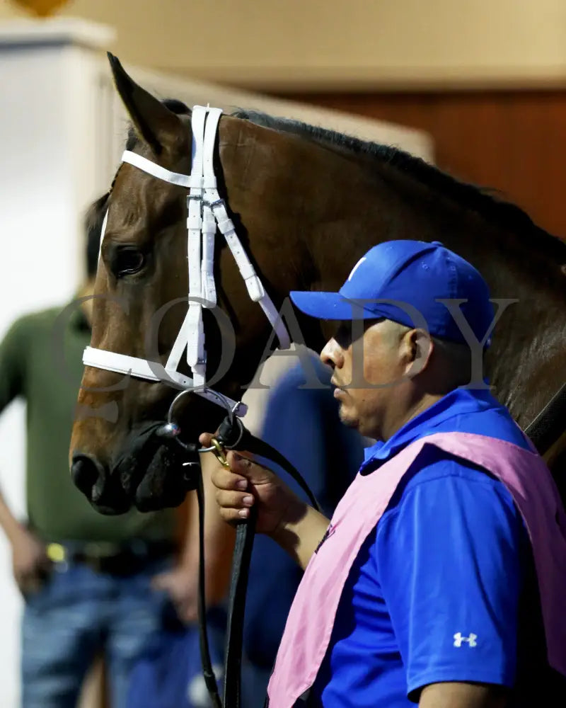 Nice As Pie - The Serena’s Song 3Rd Running 03 - 30 - 24 R06 Tp Paddock 01 Turfway Park