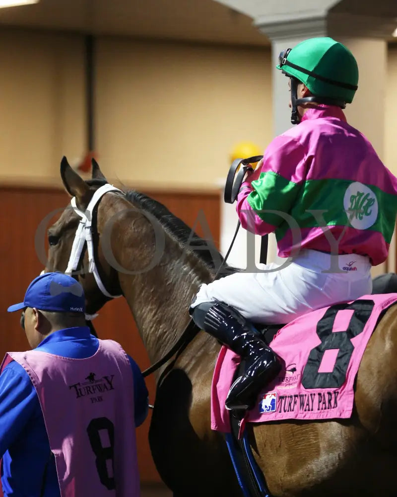 Nice As Pie - The Serena’s Song 3Rd Running 03 - 30 - 24 R06 Tp Paddock 02 Turfway Park