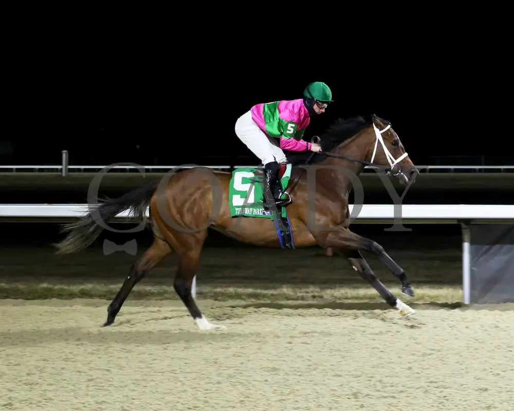 Nice As Pie - The Valdale 37Th Running 02-10-24 R07 Tp Finish 01 Turfway Park