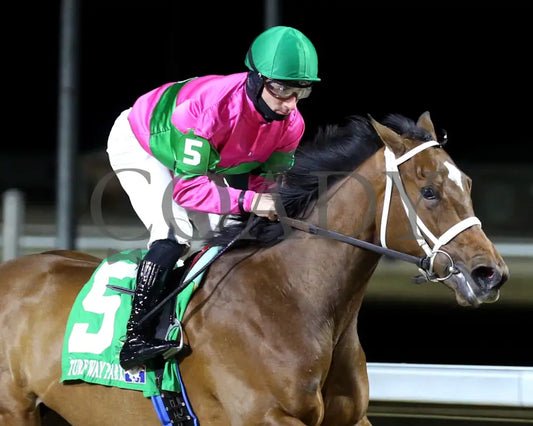 Nice As Pie - The Valdale 37Th Running 02-10-24 R07 Tp Finish 03 Turfway Park