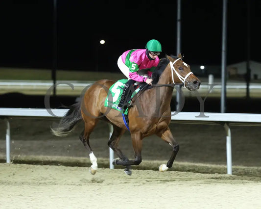 Nice As Pie - The Valdale 37Th Running 02-10-24 R07 Tp Finish 02 Turfway Park