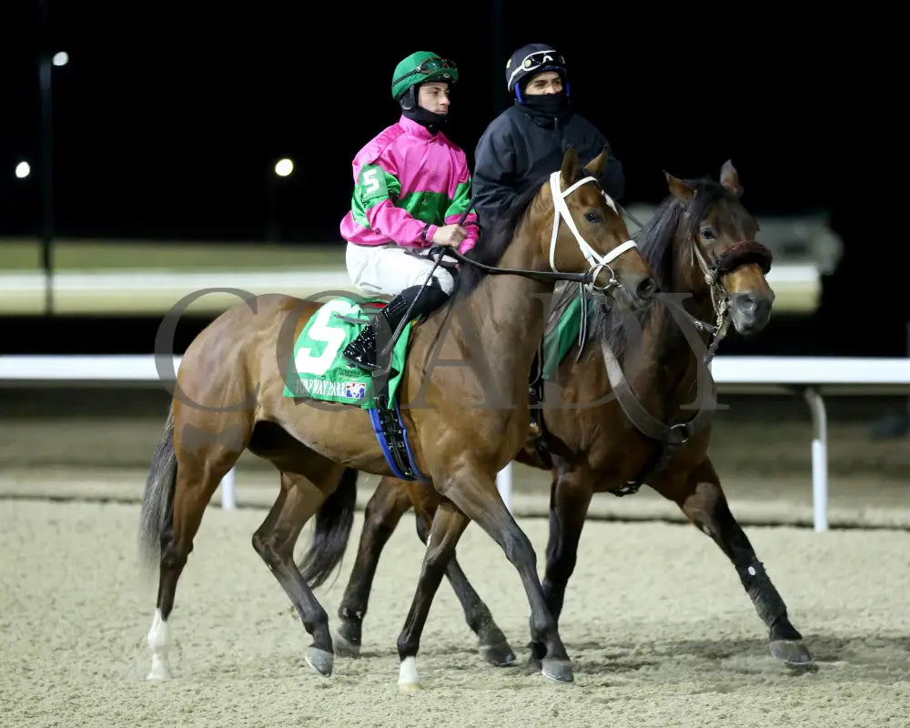 Nice As Pie - The Valdale 37Th Running 02-10-24 R07 Tp Post Parade 01 Turfway Park