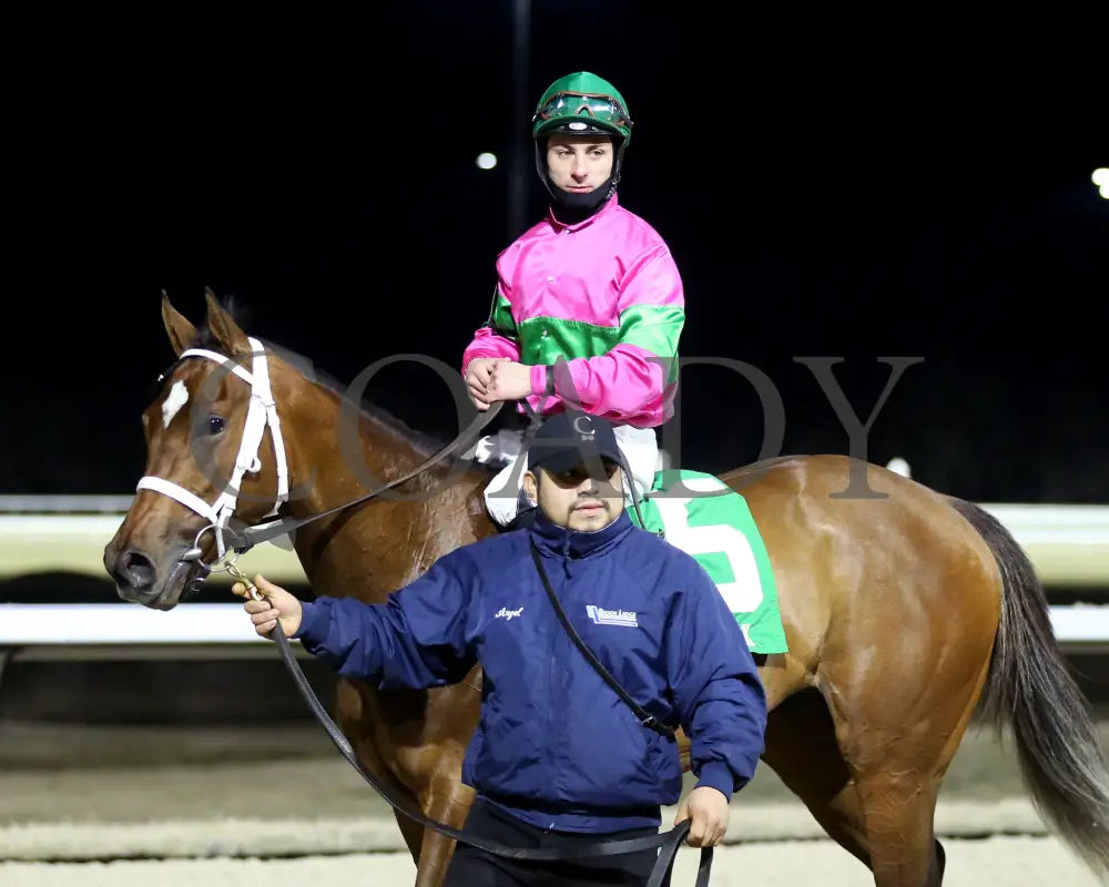 Nice As Pie - The Valdale 37Th Running 02-10-24 R07 Tp Post Race 01 Turfway Park