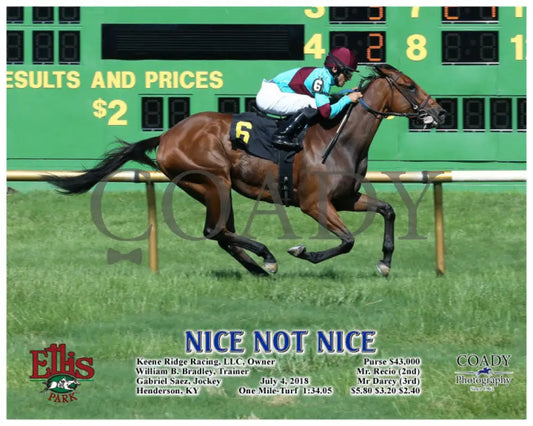 Nice Not - 070418 Race 08 Elp Action Ellis Park