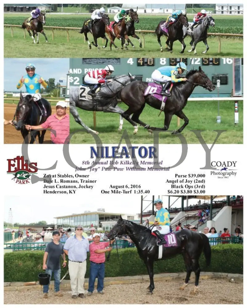 Nileator - 080616 Race 08 Elp Ellis Park