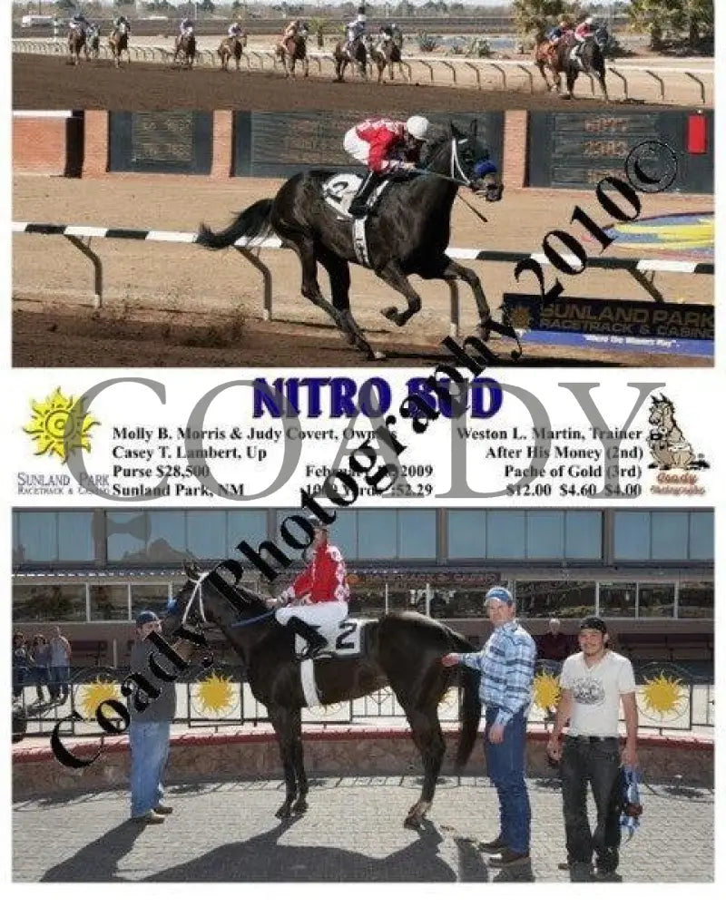 Nitro Bud - 2 18 2009 Sunland Park