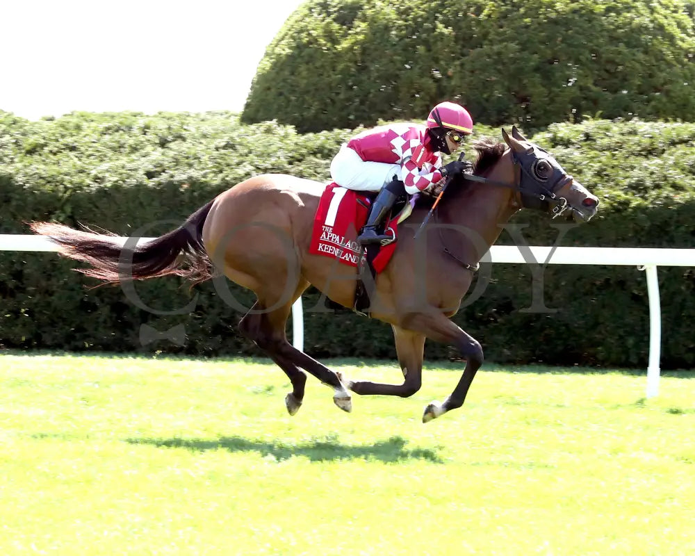 NITROGEN - The Appalachian G2 - 04-08-25 - R06 - KEE - Finish 01 Keeneland