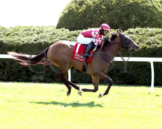 NITROGEN - The Appalachian G2 - 04-08-25 - R06 - KEE - Finish 01 Keeneland