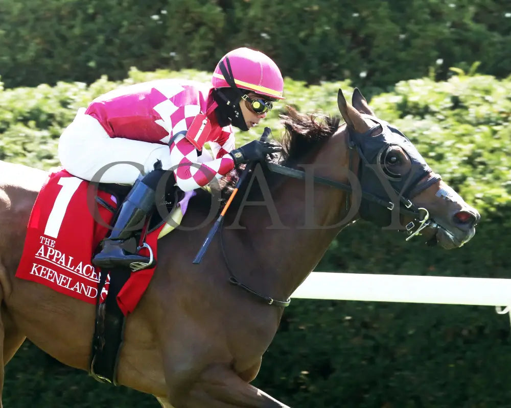 NITROGEN - The Appalachian G2 - 04-08-25 - R06 - KEE - Finish 03 Keeneland