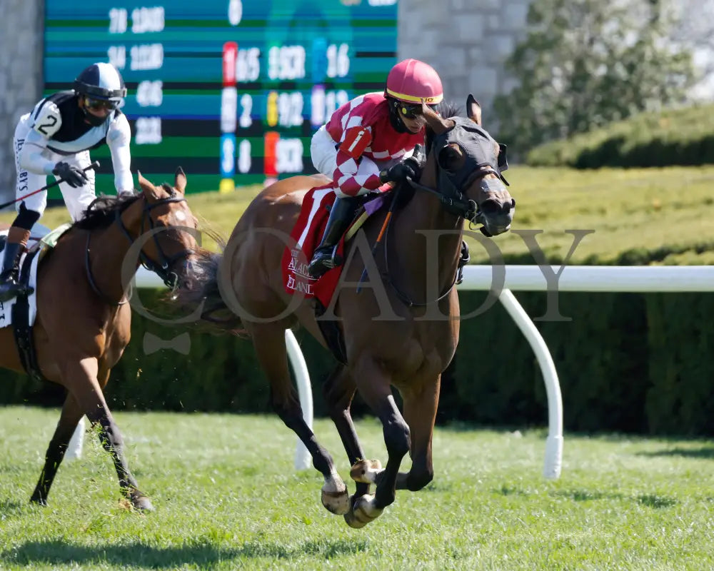 NITROGEN - The Appalachian G2 - 04-08-25 - R06 - KEE - Finish 05 Keeneland
