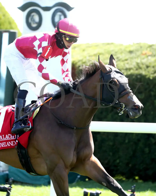 NITROGEN - The Appalachian G2 - 04-08-25 - R06 - KEE - Finish 04 Keeneland
