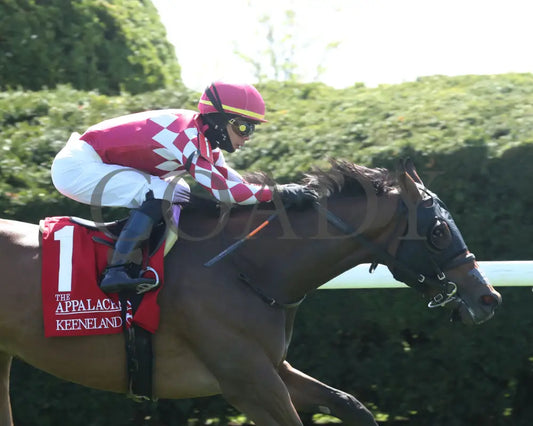 NITROGEN - The Appalachian G2 - 04-08-25 - R06 - KEE - Tight Finish 01 Keeneland