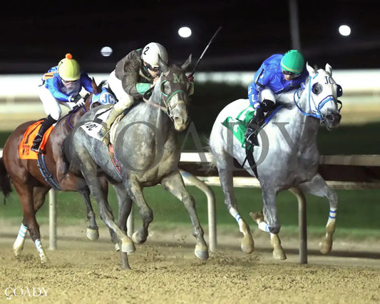 NO CHANGE - West Virginia Thoroughbred Breeders Association Onion Juice Breeders’ Classic - 10-11-25 - R07 - CT