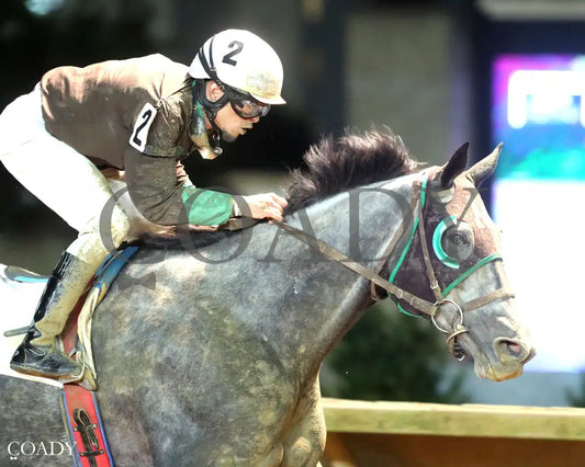 NO CHANGE - West Virginia Thoroughbred Breeders Association Onion Juice Breeders’ Classic - 10-11-25 - R07 - CT