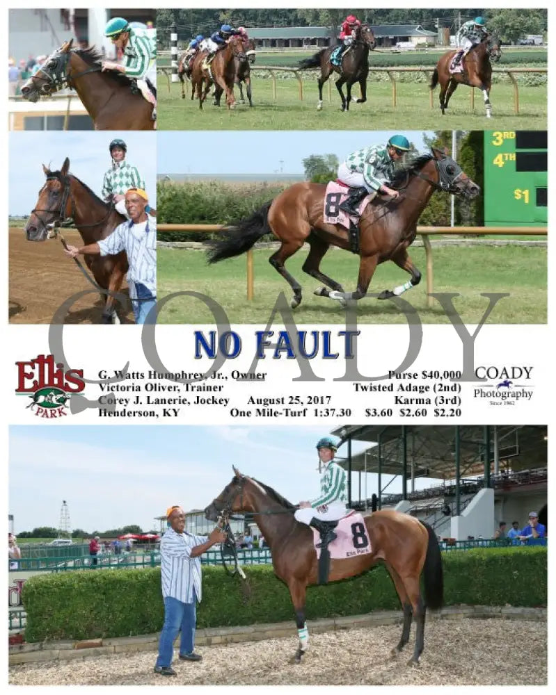 No Fault - 082517 Race 06 Elp Ellis Park