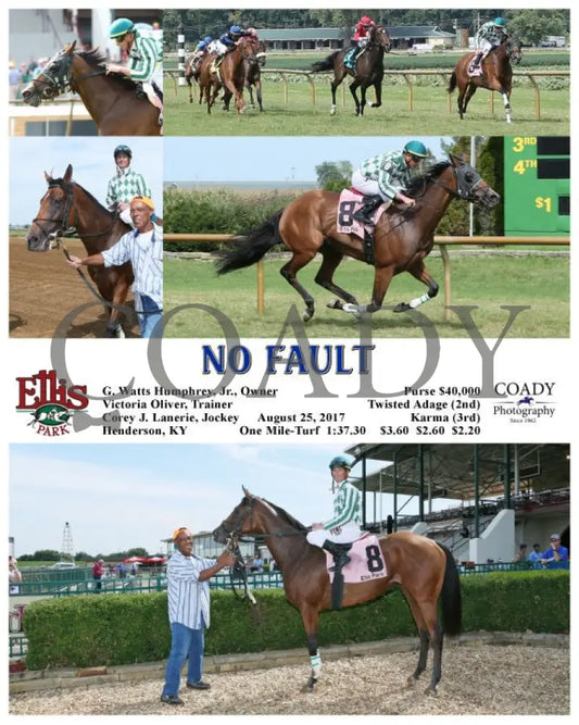 No Fault - 082517 Race 06 Elp Ellis Park