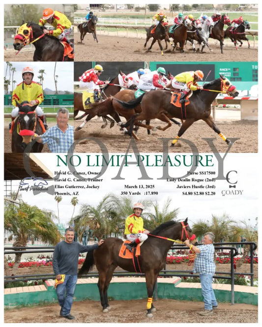 NO LIMIT PLEASURE - 03-13-25 - R01 - TUP Turf Paradise