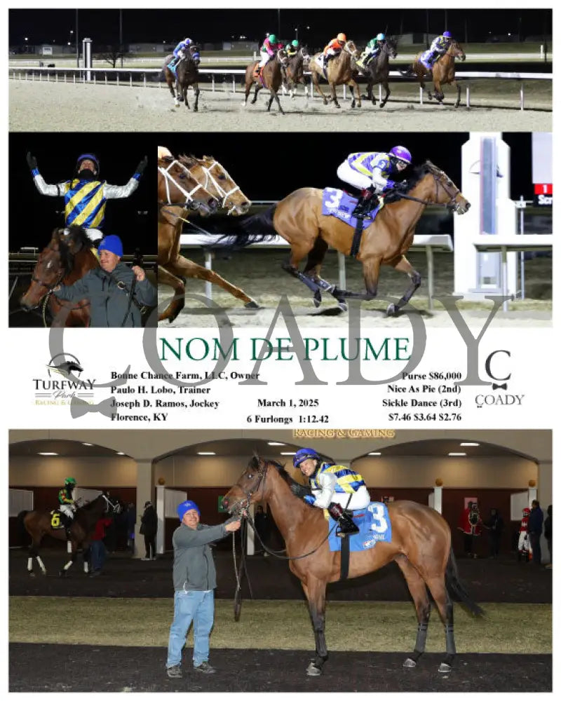 NOM DE PLUME - 030125 - Race 08 - TP Turfway Park