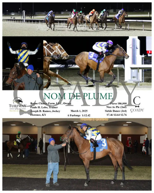NOM DE PLUME - 030125 - Race 08 - TP Turfway Park