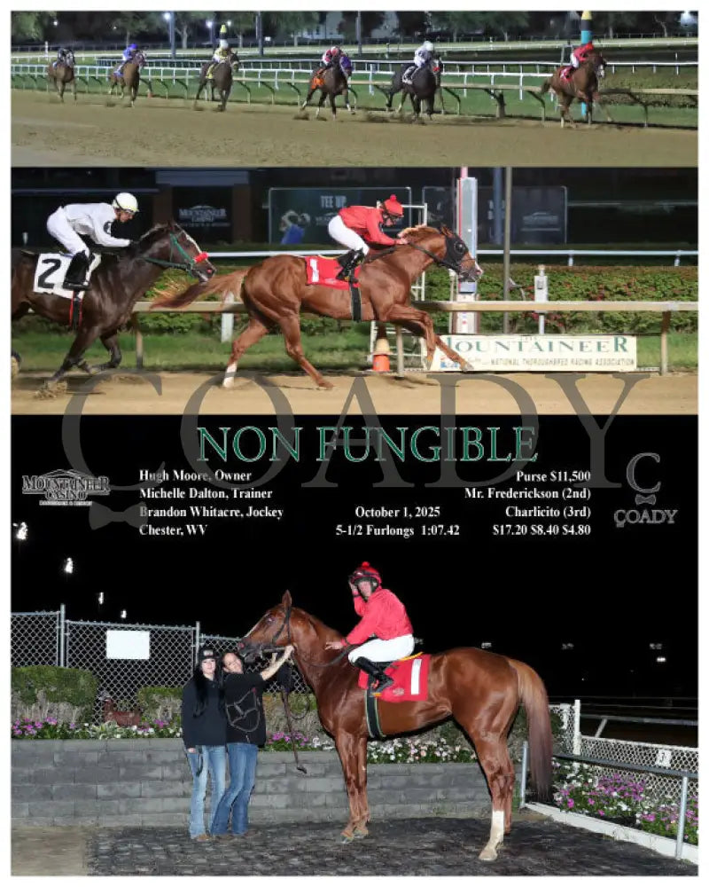 NON FUNGIBLE - 10-01-25 - R04 - MNR Mountaineer Park