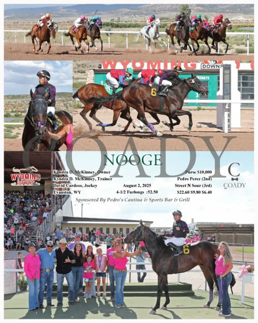 NOOGE - 08-02-25 - R08 - WYO Wyoming Downs