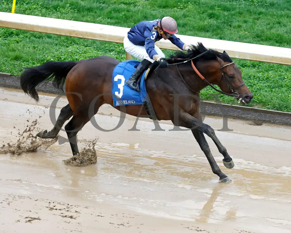 NORMANDY COAST - The Palisades - 04-06-25 - R08 - KEE - Aerial Finish 01 Keeneland