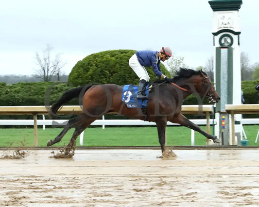 NORMANDY COAST - The Palisades - 04-06-25 - R08 - KEE - Finish 01 Keeneland
