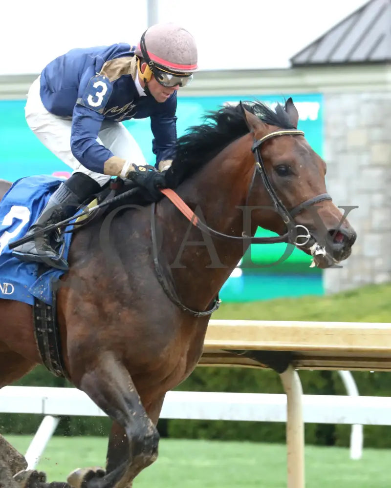 NORMANDY COAST - The Palisades - 04-06-25 - R08 - KEE - Finish 04 Keeneland