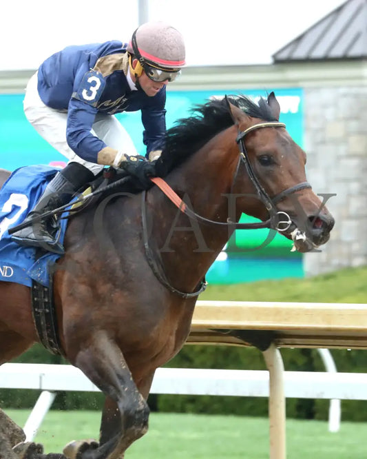 NORMANDY COAST - The Palisades - 04-06-25 - R08 - KEE - Finish 04 Keeneland