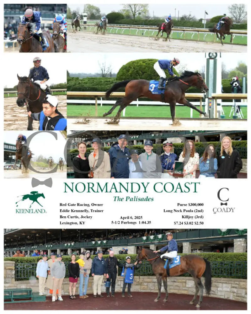 NORMANDY COAST - The Palisades - 04-06-25 - R08 - KEE Keeneland