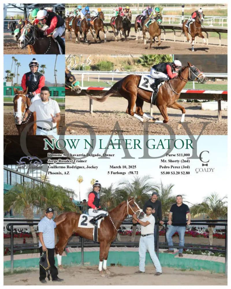 NOW N LATER GATOR - 03-10-25 - R09 - TUP - Coady Media - Kurtis Coady Photography
