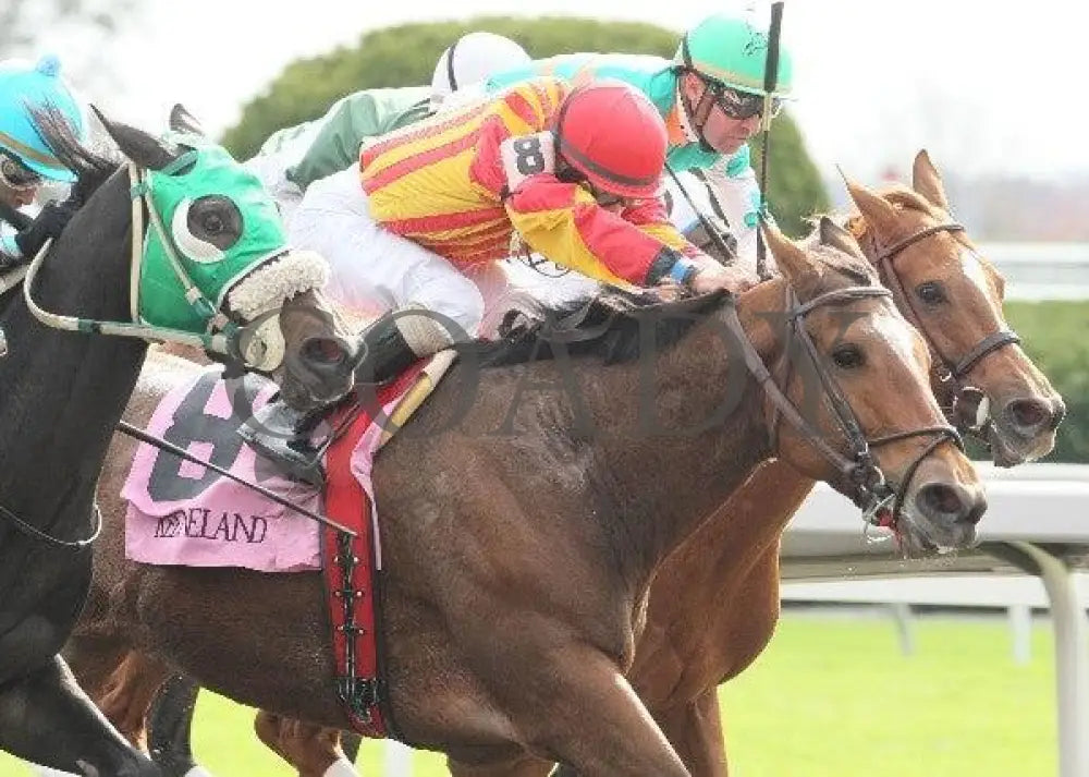 Noyoucan’t - 1 1102111 Race 04 Keeneland