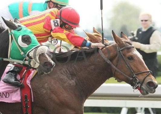 Noyoucan’t - 2 102111 Race 04 Keeneland