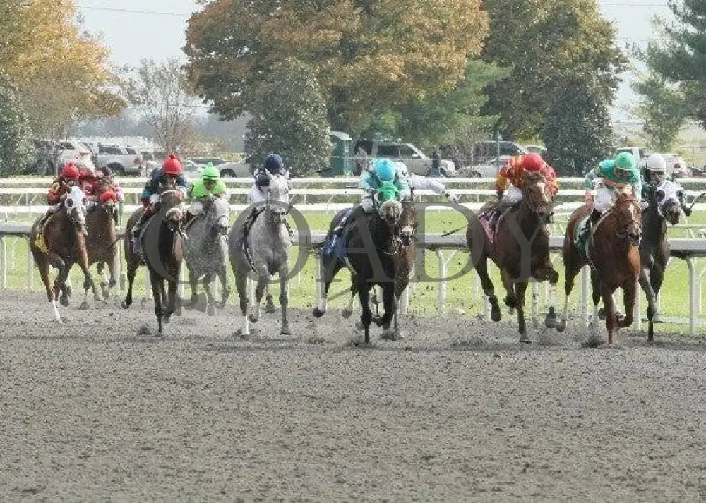 Noyoucan’t - 3 102111 Race 04 Keeneland