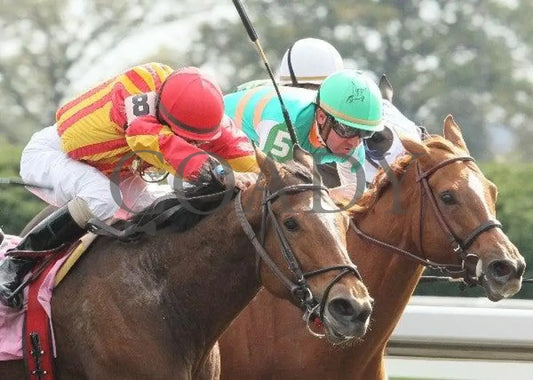 Noyoucan’t - 4 102111 Race 04 Keeneland