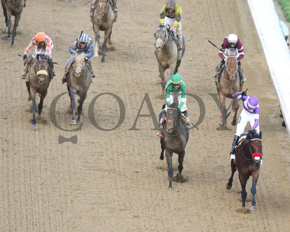 Nyquist - 050716 Race 12 Cd Aerial Celebration Kentucky Derby