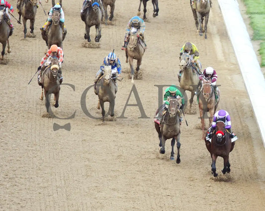 Nyquist - 050716 Race 12 Cd Aerial Head On Kentucky Derby