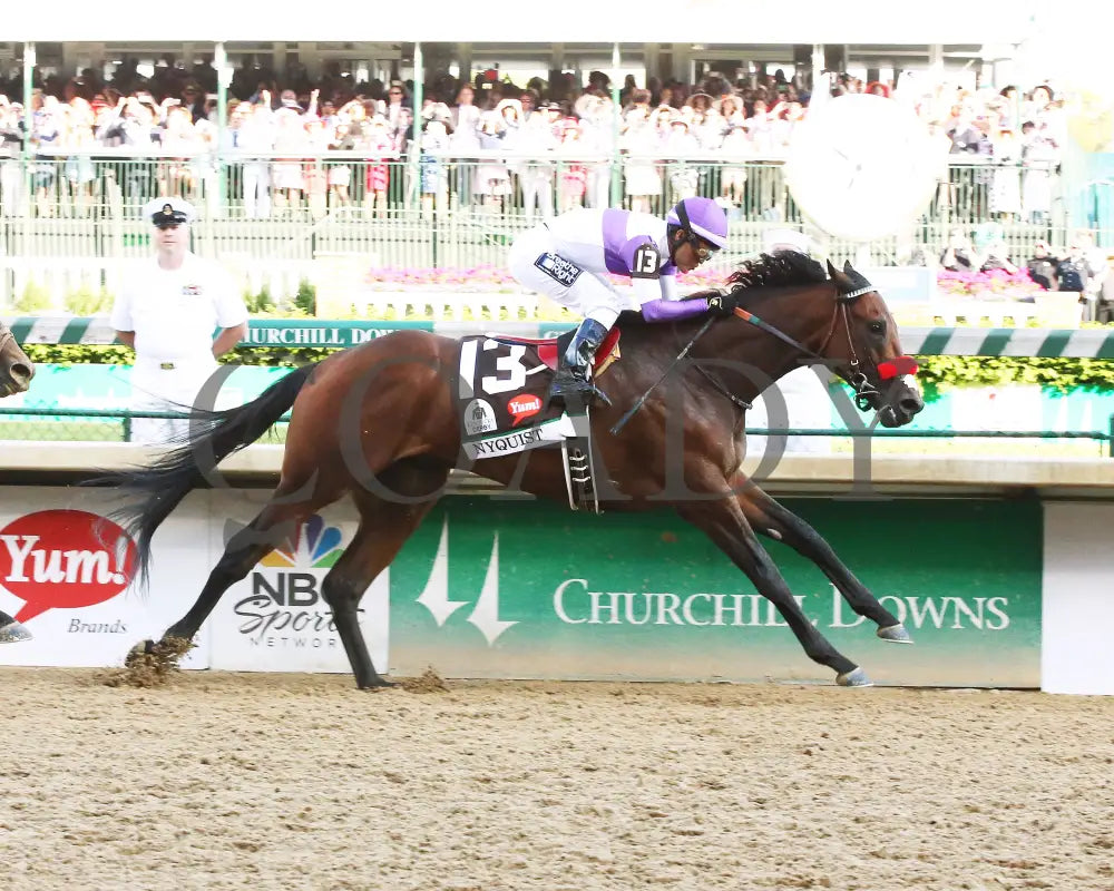Nyquist - 050716 Race 12 Cd Finish Kentucky Derby