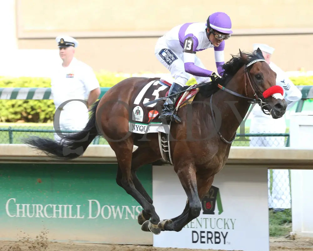 Nyquist - 050716 Race 12 Cd Finish Tight 02 Kentucky Derby