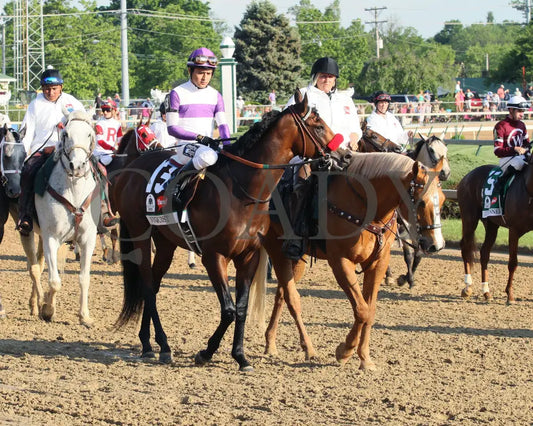 Nyquist - 050716 Race 12 Cd Gate Load 01 Kentucky Derby