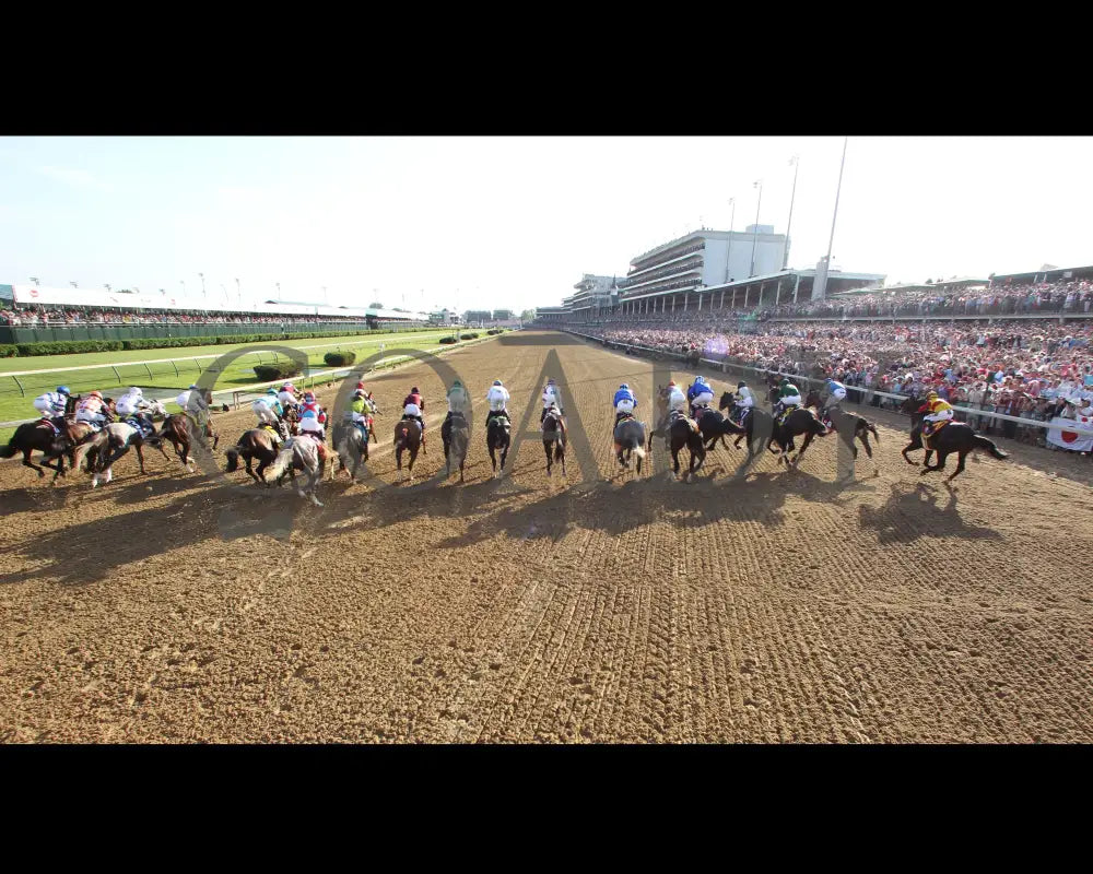 Nyquist - 050716 Race 12 Cd Gate Start Kentucky Derby