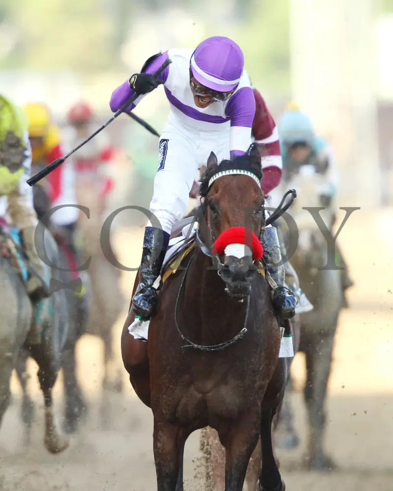 Nyquist - 050716 Race 12 Cd Head On Celebration Kentucky Derby