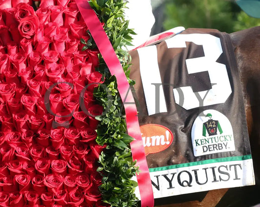 Nyquist - 050716 Race 12 Cd Roses 02 Kentucky Derby