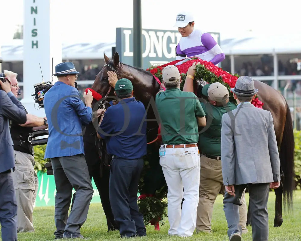 Nyquist - 050716 Race 12 Cd Roses 04 Kentucky Derby