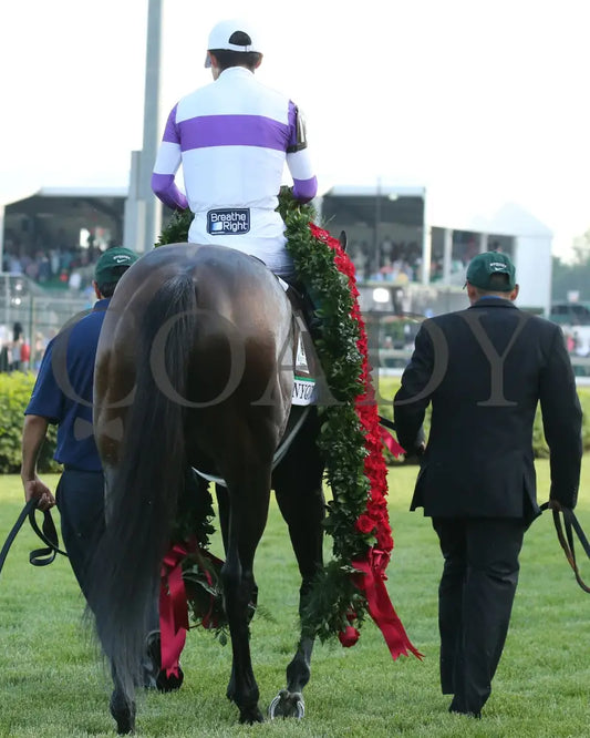 Nyquist - 050716 Race 12 Cd Roses 05 Kentucky Derby