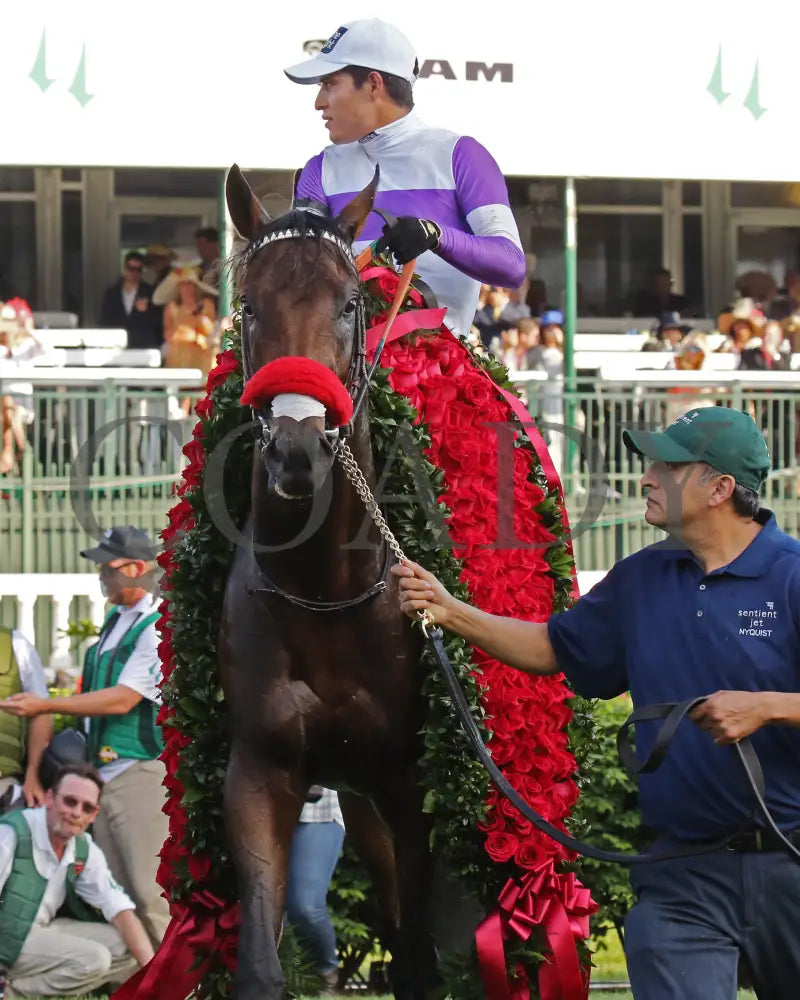 Nyquist - 050716 Race 12 Cd Roses Kentucky Derby