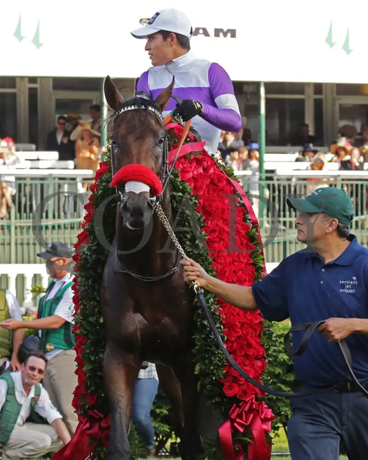 Nyquist - 050716 Race 12 Cd Roses Kentucky Derby